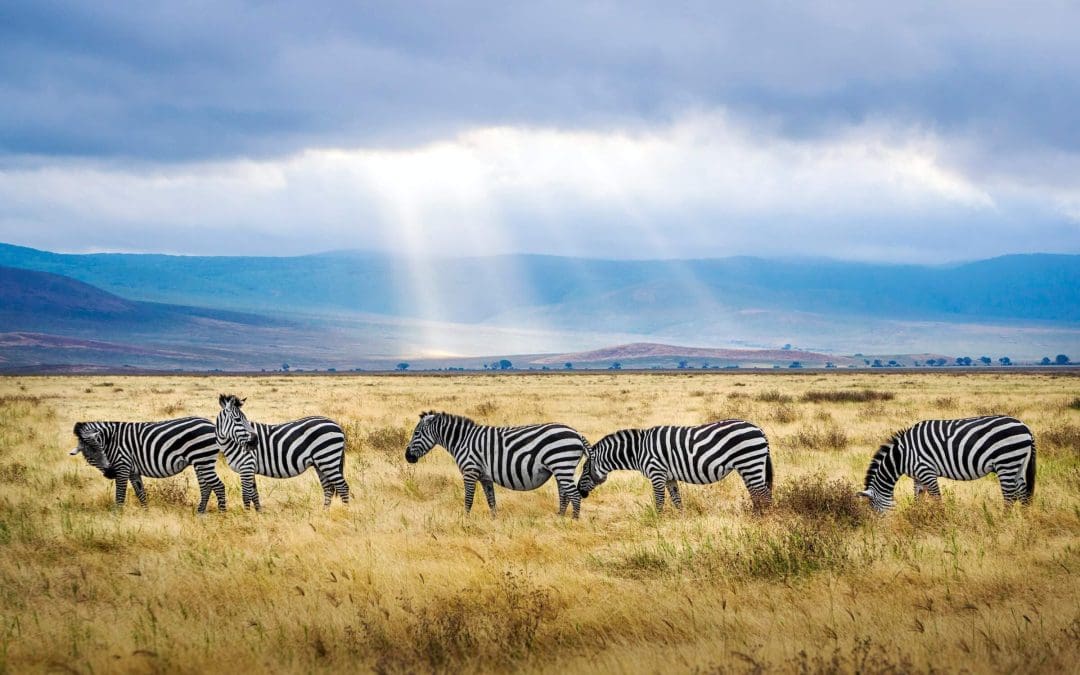 Tanzania
