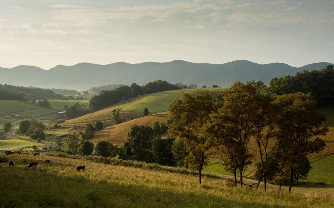 Virginia