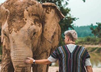 Chiang Mai Elephant Experience