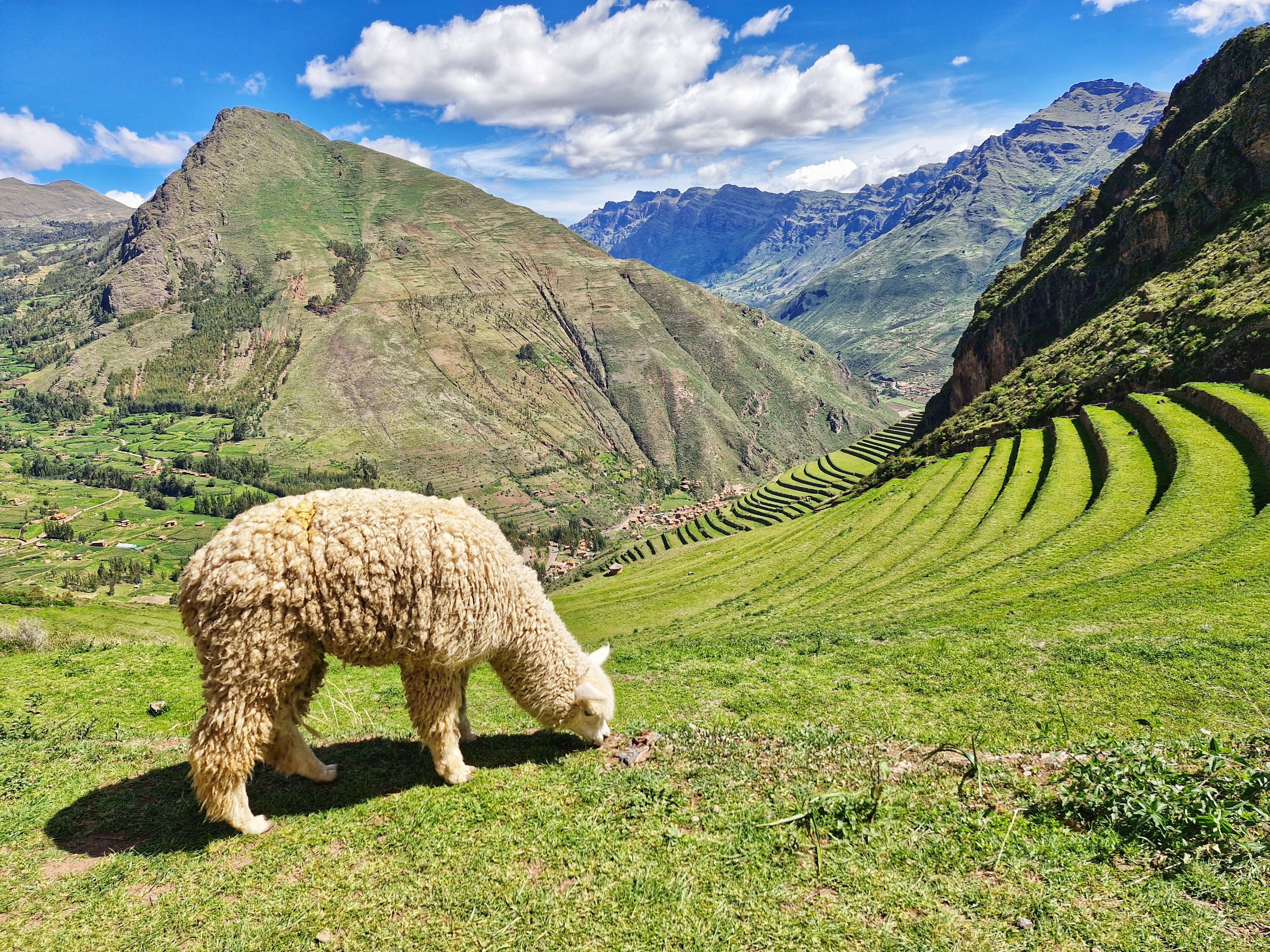 Cusco, Peru