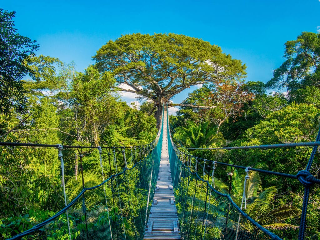 Puerto Maldonado, Peru