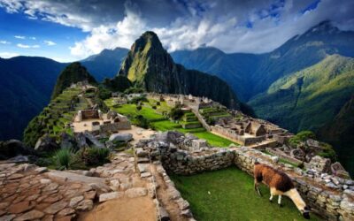 Alternative Spring Break – Volunteer Abroad in PERU with H.U.W.E.A.